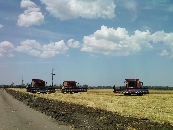 Уборка урожая